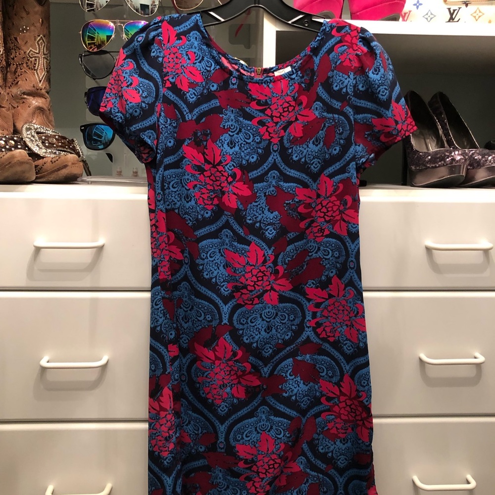 Blue and Pink Floral Candy Rose Dress